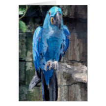 Blue parrot(card)