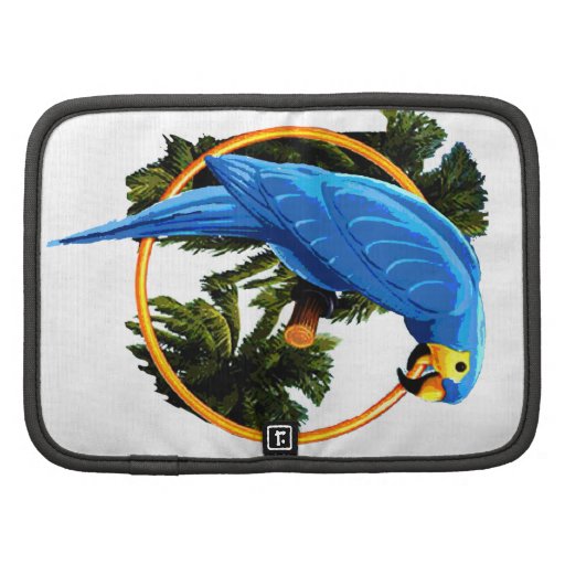 blue parrot organizer