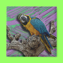 Blue Parrot & Palms magnet magnets