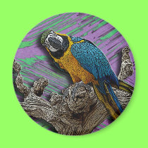 Blue Parrot & Palms magnet magnets