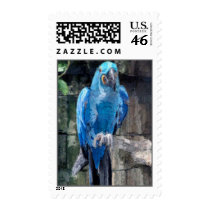 blue parrot postage by nefera blue parrot postage