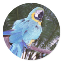 blue parrot stickers