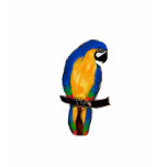 Blue Parrot Tshirt