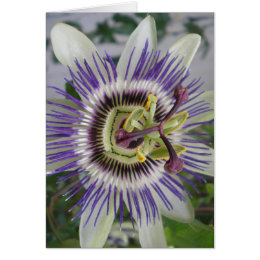 Blue Passion Flower card