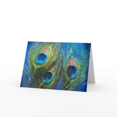 Blue Peacock Feather Wedding Greeting Card by Peacocks