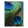 peacock, blue, stained glass, feather, eye, bird,