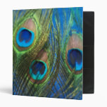 Blue Peacock Feathers Vinyl Binders
