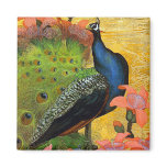 Blue Peacock