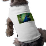 Blue Peacock Pet Shirt