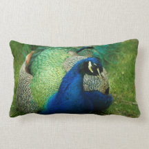 Blue Peacock Pillow