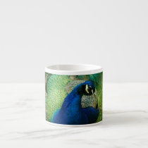 Blue Peacock Specialty Mug Espresso Mug