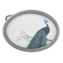 Blue Peacock with beautiful tail feathers Belt Buckles