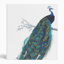 Blue Peacock with beautiful tail feathers 3 Ring Binders
