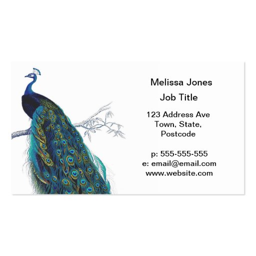 Blue Peacock with beautiful tail feathers Business Card
