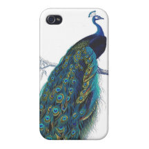 Blue Peacock with beautiful tail feathers iPhone 4 Cover