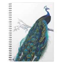 Blue Peacock with beautiful tail feathers Journal