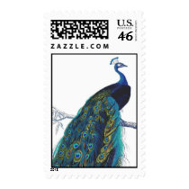 Blue Peacock with beautiful tail feathers Stamp