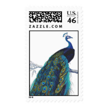 Blue Peacock with beautiful tail feathers Stamp