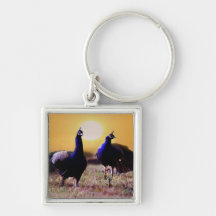 Blue peacocks key chains