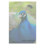 Blue Peafowl Stationery Design