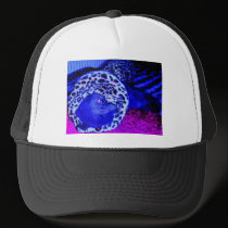 Blue Persian hats