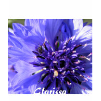 Blue Petals T-shirts