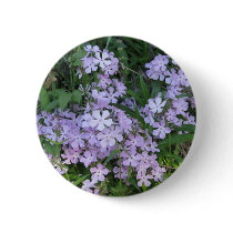 Blue Phlox, P. divaricata buttons by naturegirl7 Blue Phlox, P. divaricata buttons