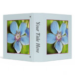 Blue Pimpernel (Anagallis monelli) Flower Binders