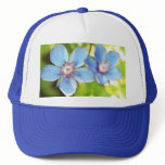 Blue Pimpernel (Anagallis monelli) Flowers Mesh Hats