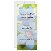 Blue Pimpernel (Anagallis monelli) Flowers Full Color Rack Card