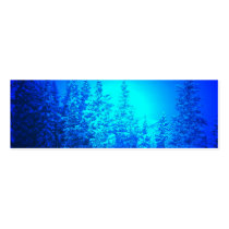 blue pines with light profile cards