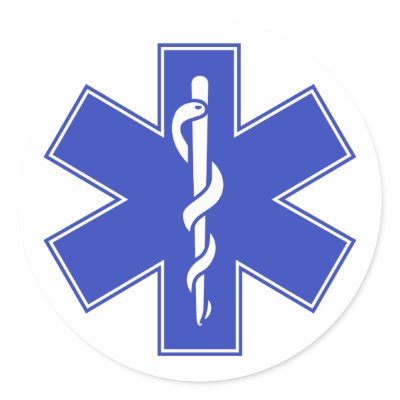 Blue Pink Aqua Baby Hot  Nurse EMS Star of Life Stickers by inquester