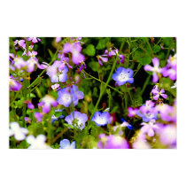 blue & pink flowers posters by dma847 blue & pink flowers posters