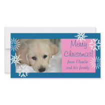 Blue Pink Snowflakes Dog Christmas Photo Card