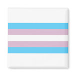 Blue Pink Stripe Fridge Magnet