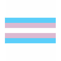 Blue Pink Stripe t-shirts