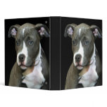 Blue Pitball Puppy binder