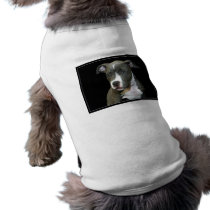 Blue Pitbull Puppy Dog Shirt