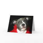 Blue Pitbull Puppy greeting card