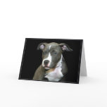 Blue Pitbull Puppy Greeting Card