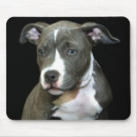 Blue Pitbull Puppy mousepad