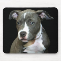Blue Pitbull Puppy mousepad