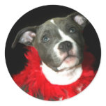 Blue Pitbull Puppy stickers