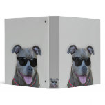 Blue pitbull with glasses binders