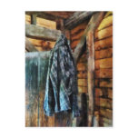 Blue Plaid Jacket in Cabin Postcards