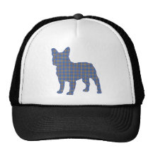 blue_plaid_ trucker hat
