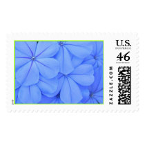Blue Plumbago postage by annienbart Blue Plumbago postage