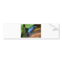 blue poison arrow frog bumper stickers