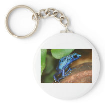 blue poison arrow frog keychains