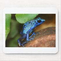 blue poison arrow frog mousepads
